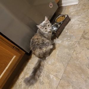 Meet your Posher, Tonya